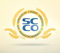 Sponsorship project 10